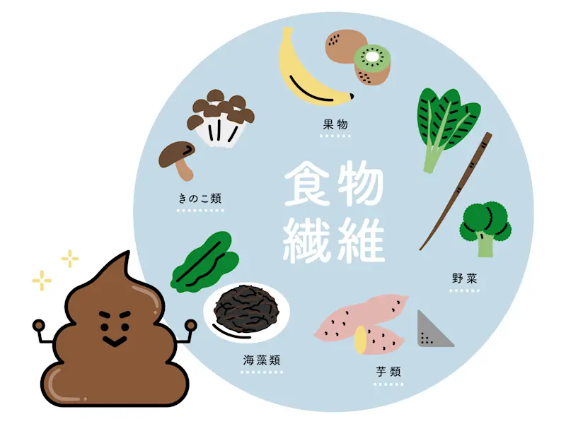 食物繊維 食物繊維
