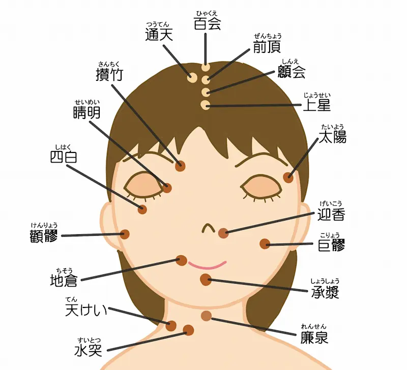 顔 ツボ 顔 ツボ