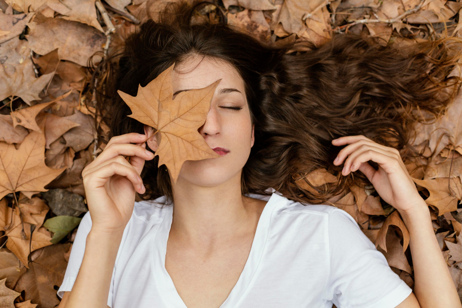 otoño