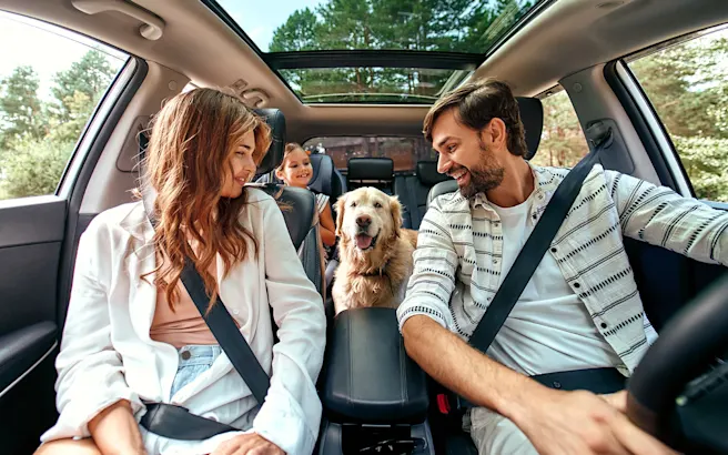 How to Travel with Your Pets for the Holidays