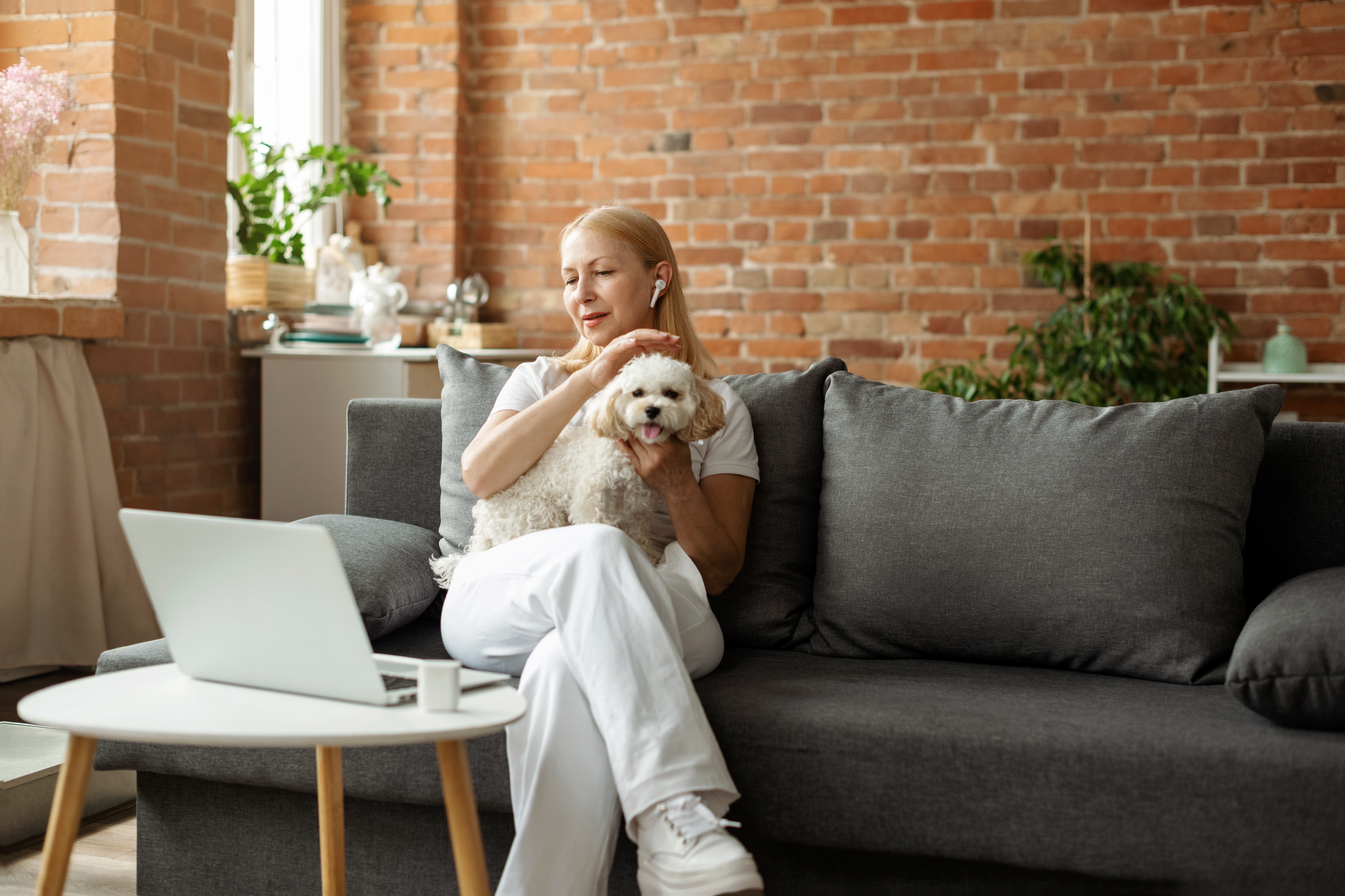 What to expect from your Virtual Veterinary Visit