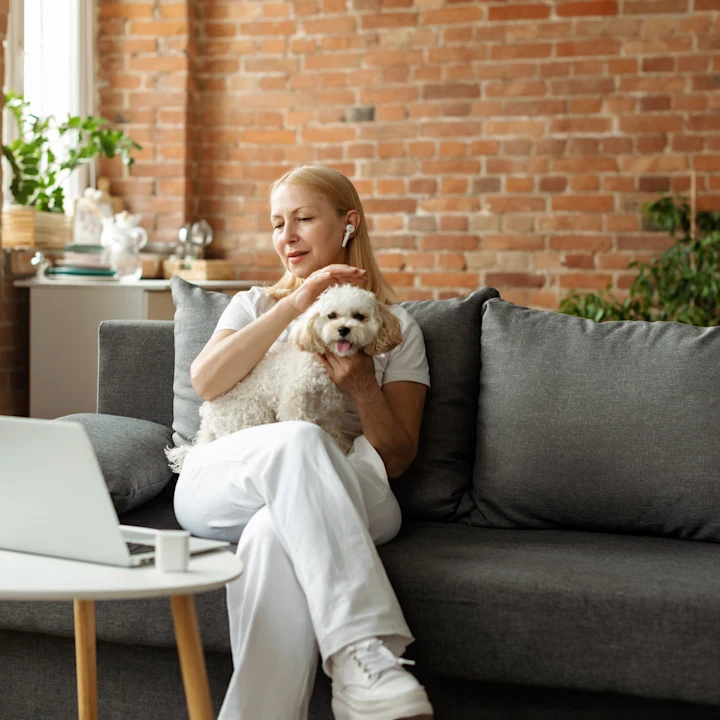 What to expect from your Virtual Veterinary Visit