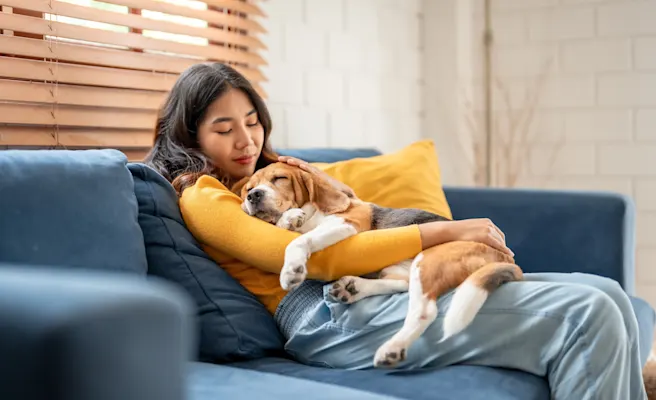 Why Does My Dog Have Diarrhea and What to Do