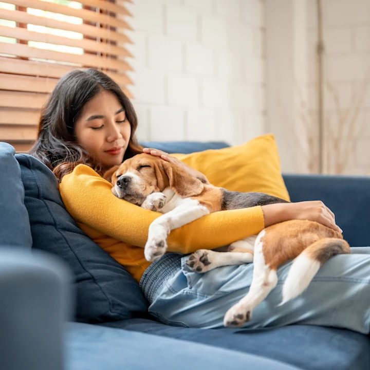 Why Does My Dog Have Diarrhea and What to Do