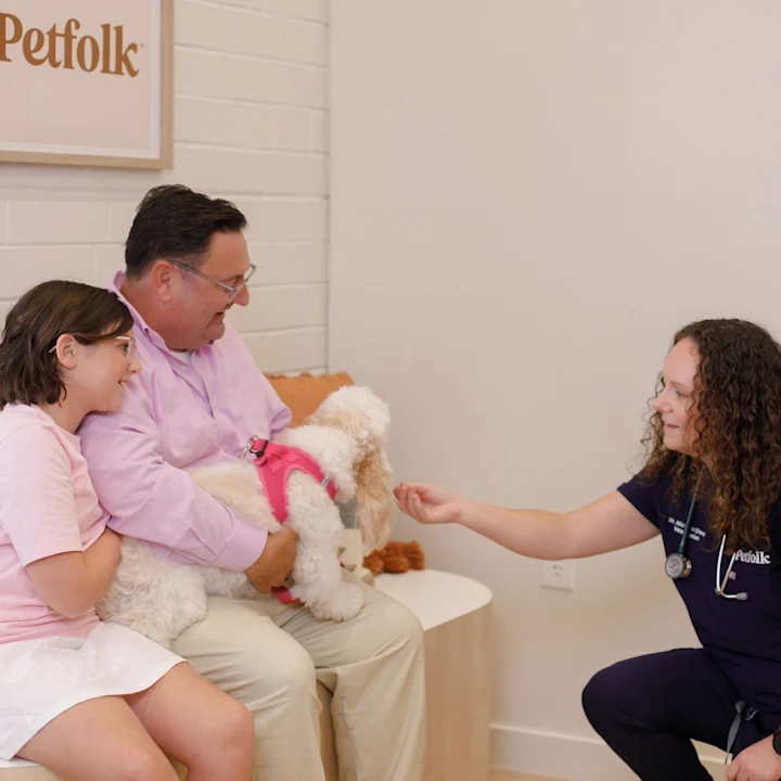 Questions Your Vet Wishes You'd Ask Them