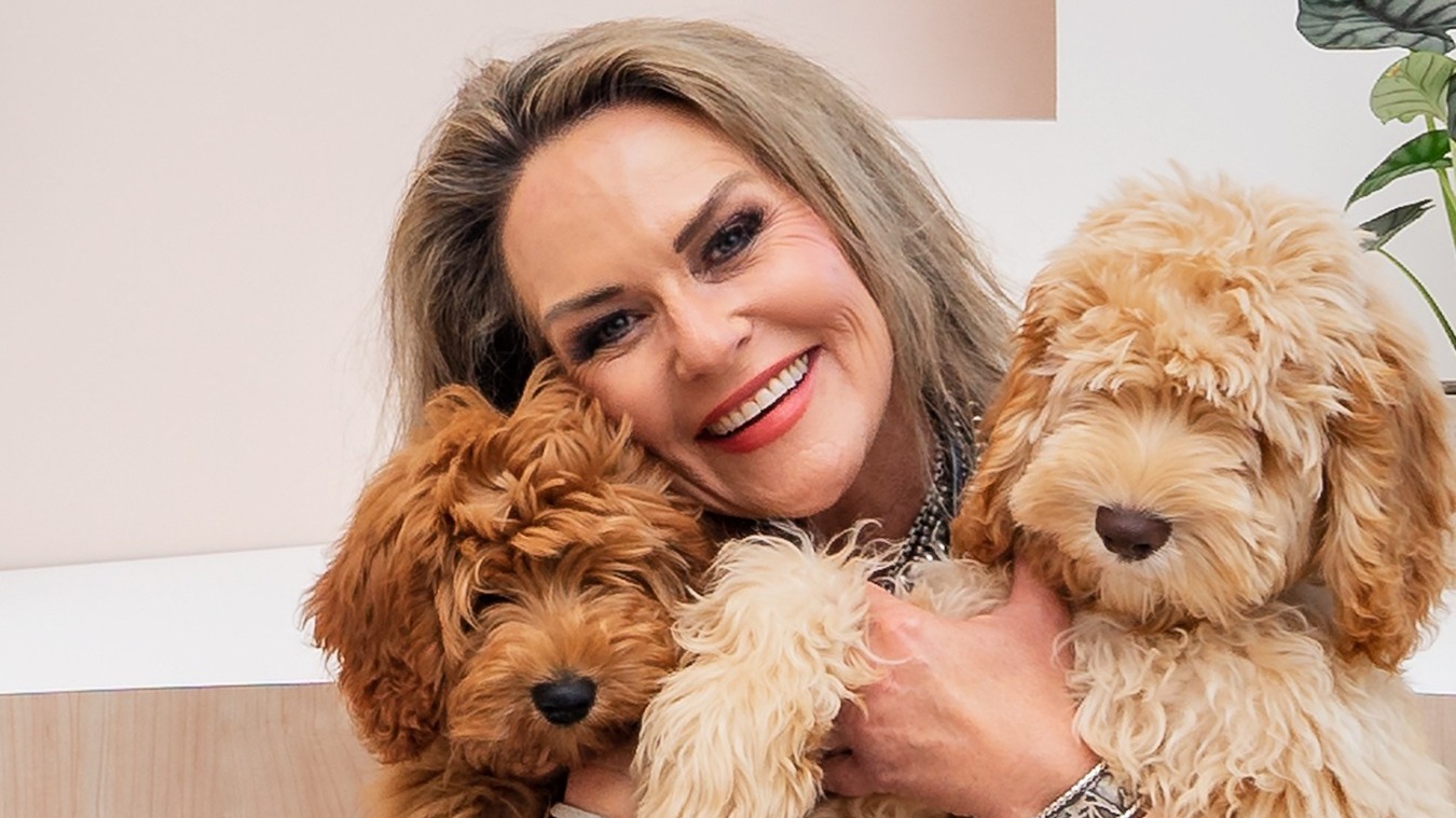 Advantages of a Veterinarian-Led Company