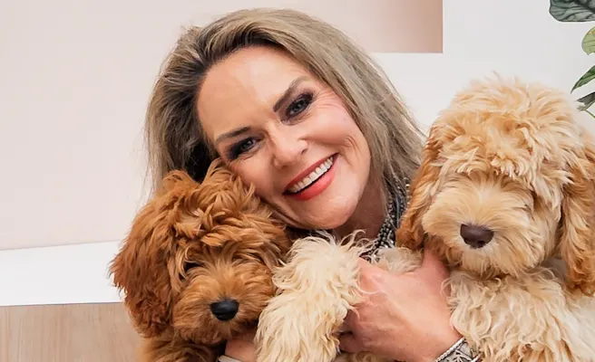 Advantages of a Veterinarian-Led Company