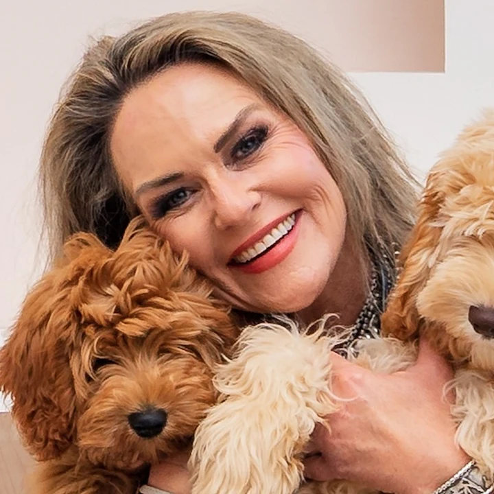 Advantages of a Veterinarian-Led Company