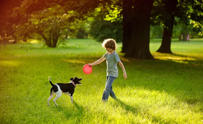 Dog-Friendly Restaurants, Parks, and Activities in East Cobb & Marietta, GA