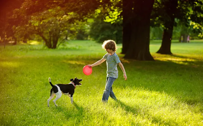 Dog-Friendly Restaurants, Parks, and Activities in East Cobb & Marietta, GA