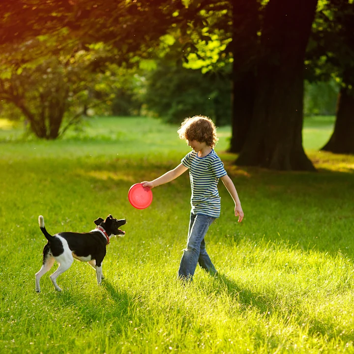 Dog-Friendly Restaurants, Parks, and Activities in East Cobb & Marietta, GA