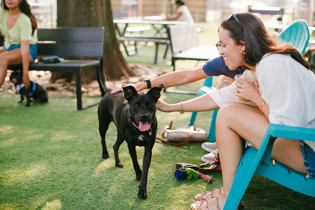 5 DogFriendly Parks in Charlotte Petfolk
