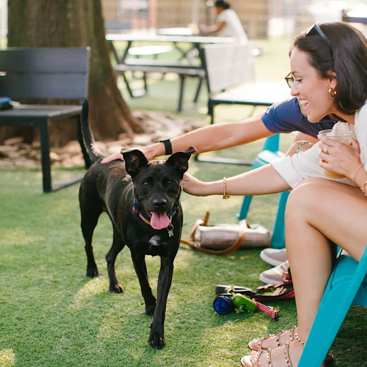 5 Dog-Friendly Parks in Charlotte