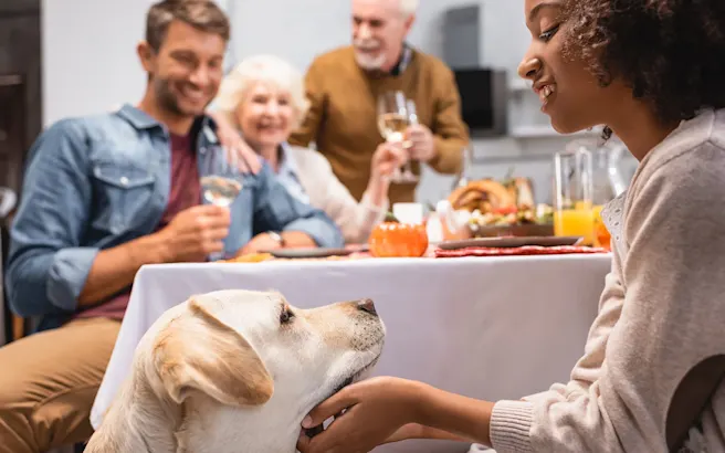 How to Prepare Your Pet for Family Gatherings