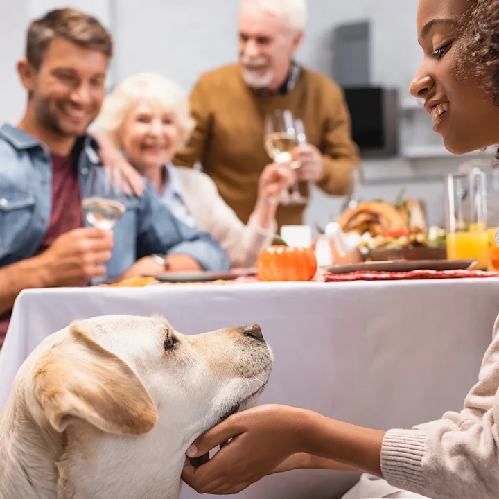 How to Prepare Your Pet for Family Gatherings