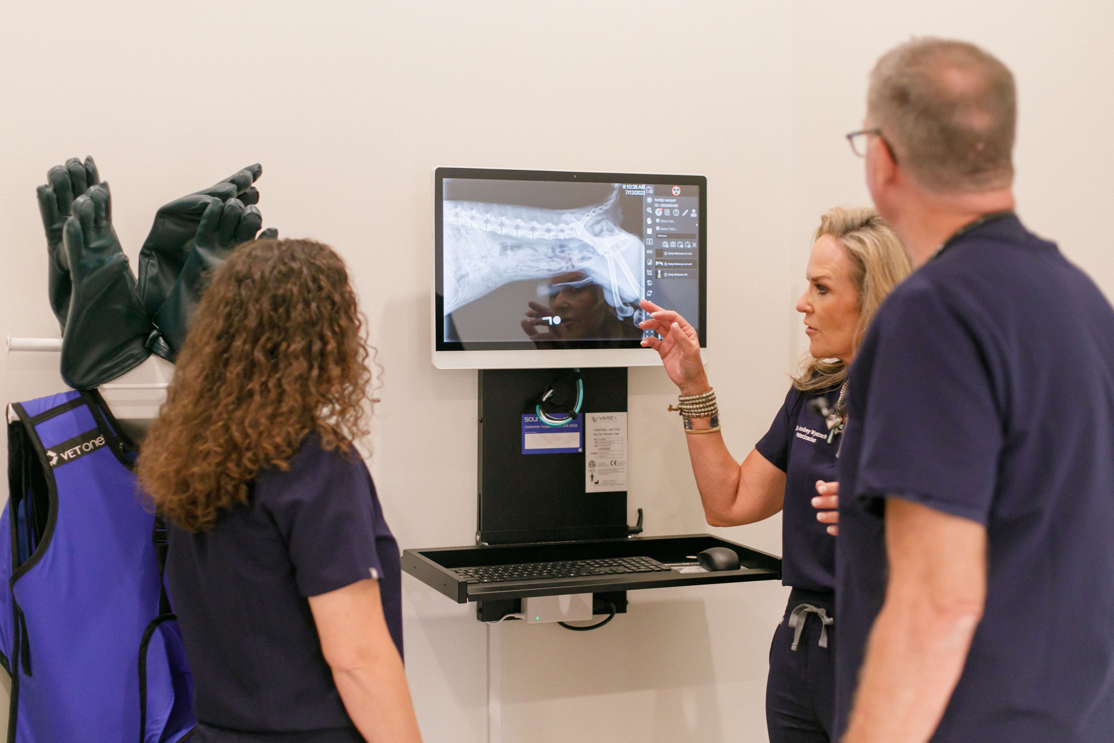 Dog Health Testing & Cat Health Testing Petfolk Petfolk