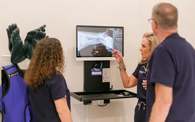 The Importance of Mentorship for New Veterinary Graduates: What to Look for in a Great Mentor