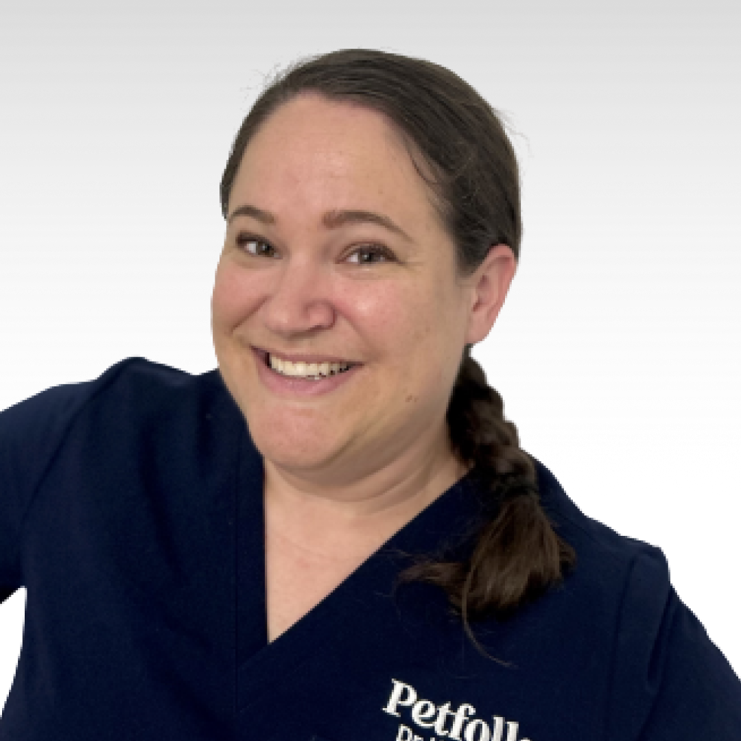 Vet Clinic Norcross, GA Petfolk