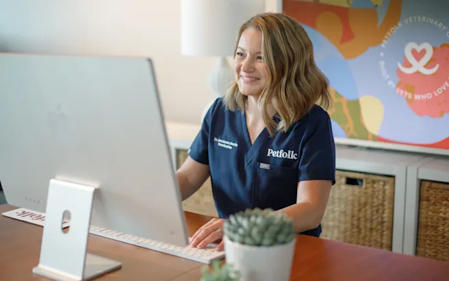 Telemedicine for Pets: Common Ailments That Can Be Addressed Online