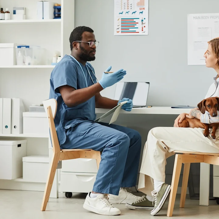 How to best communicate with pet parents during stressful times