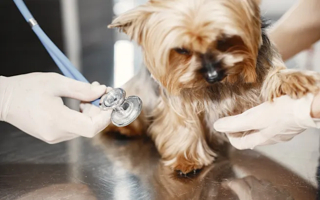 Illness vs. Urgent Care Visits