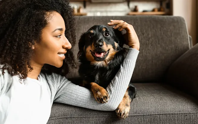 The Essential Pet Sitter Information List