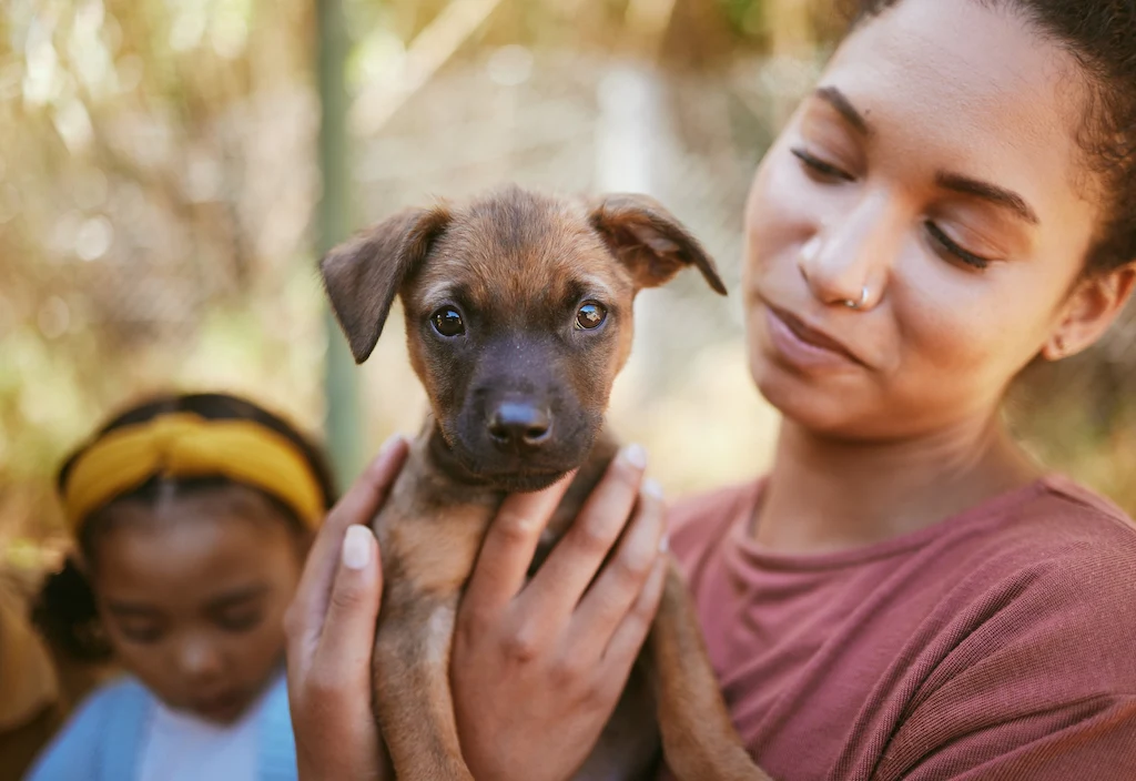 Games to Play with Your New Puppy - Positive Pets Dog Training