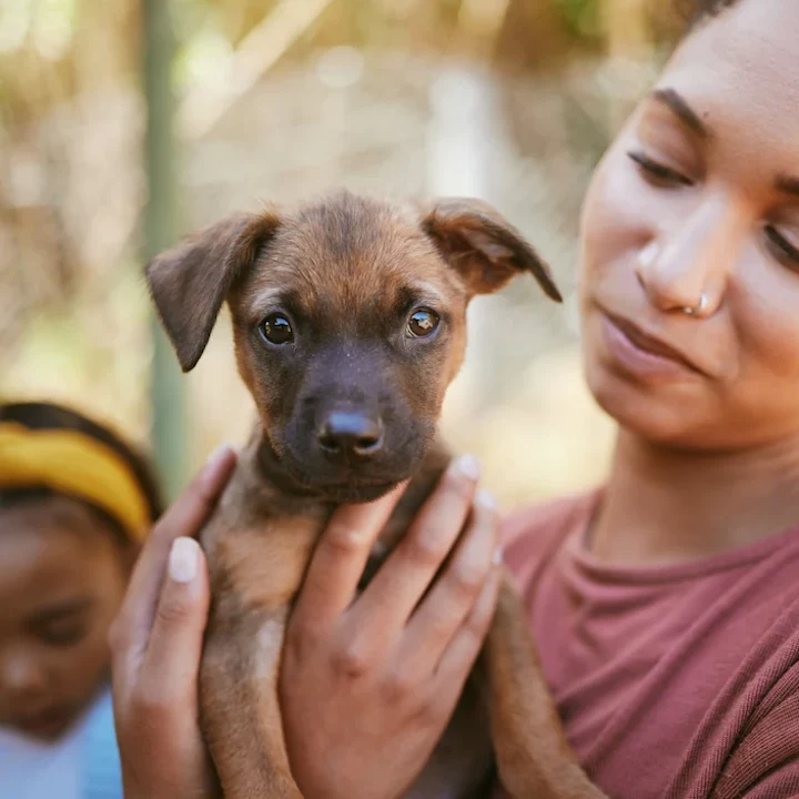 How to Bond with Your Puppy