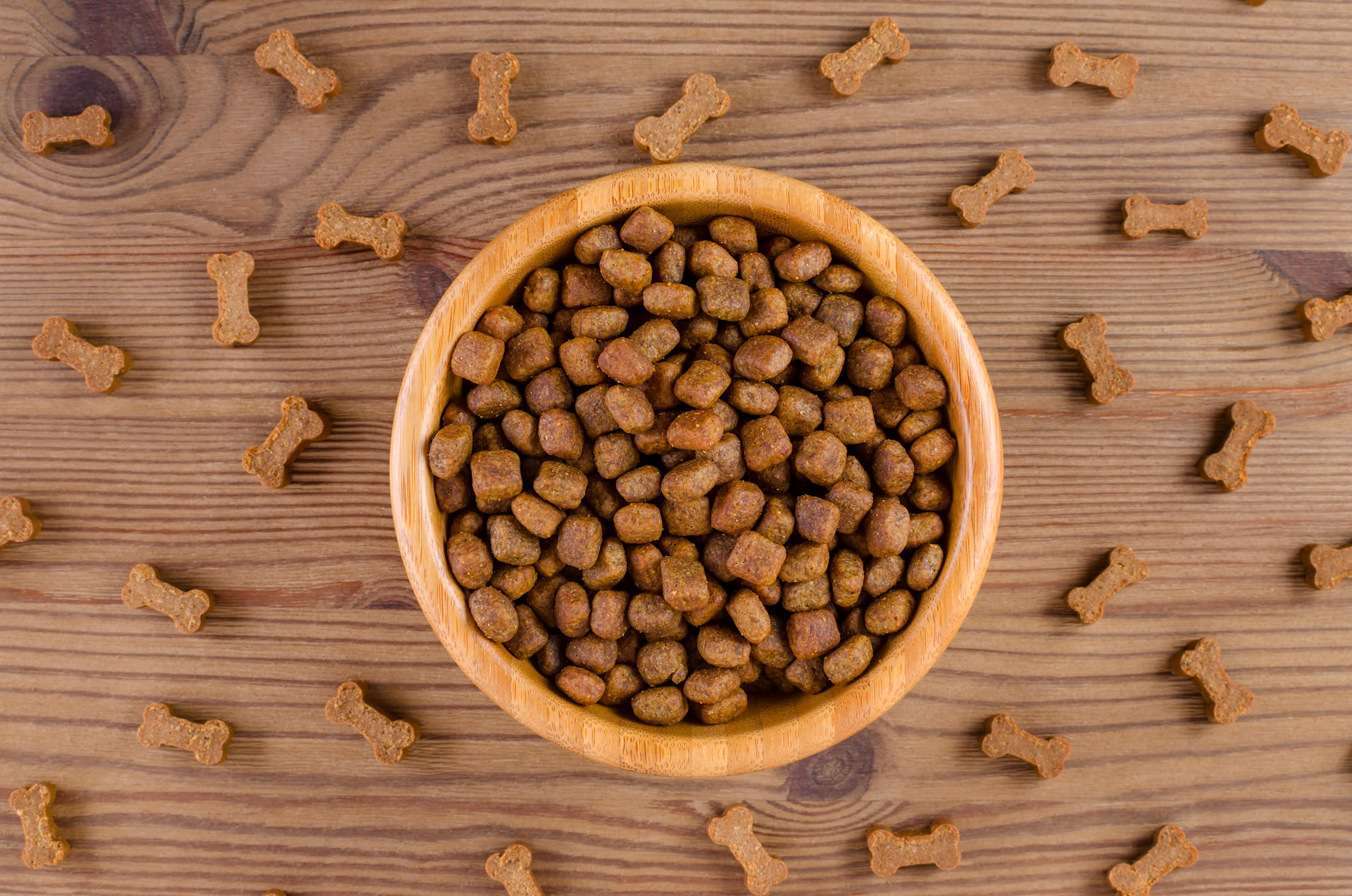Is Grain Free Dog Food Safe for Dogs: Essential Facts Revealed