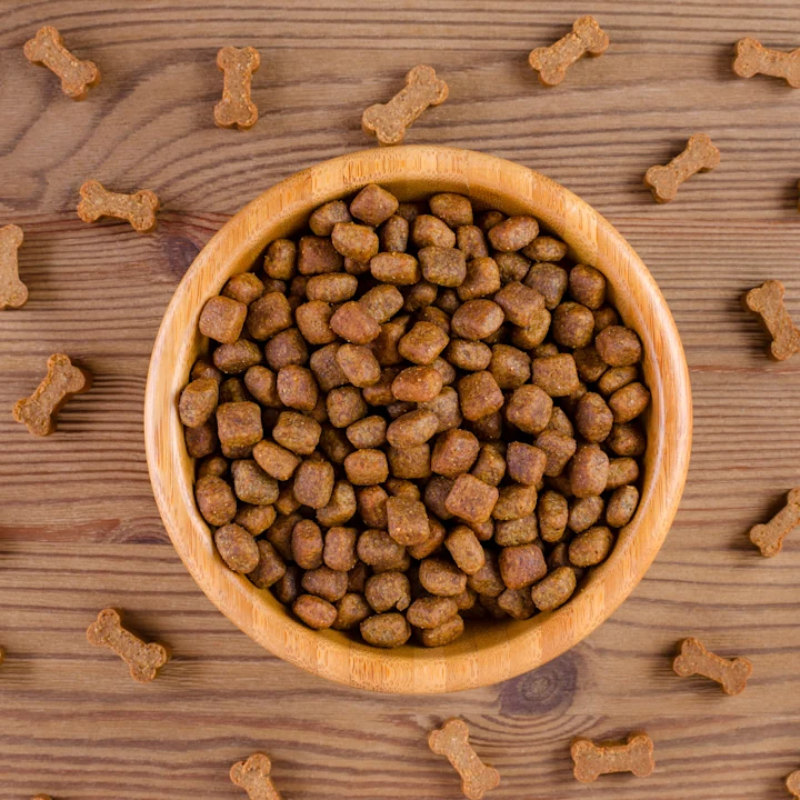 Grain-Free vs Grain-Inclusive Pet Food: What Vets Recommend