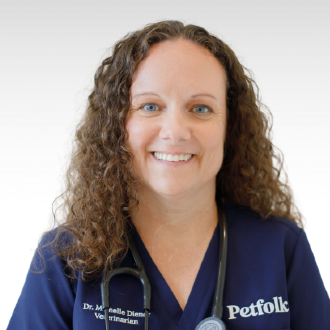 Vet Clinic Wake Forest, NC Petfolk