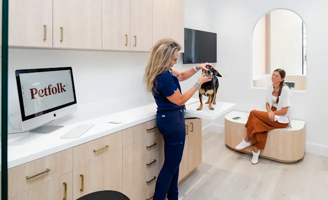 What to Expect at a Wellness Exam