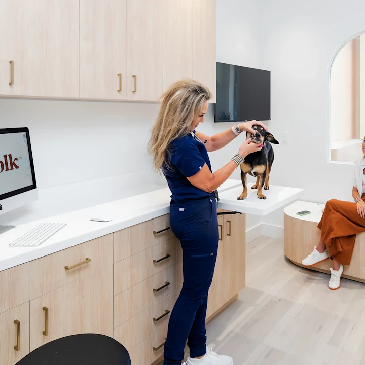 What to Expect at a Wellness Exam