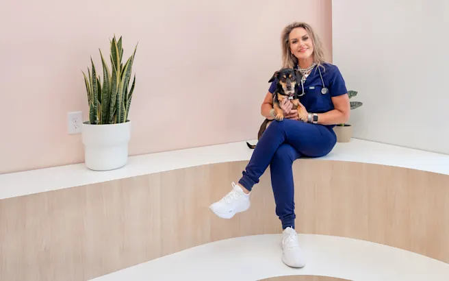 Choosing The Right Veterinarian For Your Pet