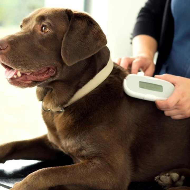 Understanding Microchip Technology for Pet Tracking