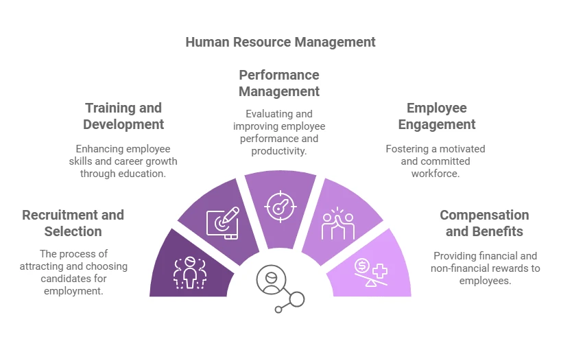 Featured image The Key Role of Human Resource Management in Driving Organizational Success