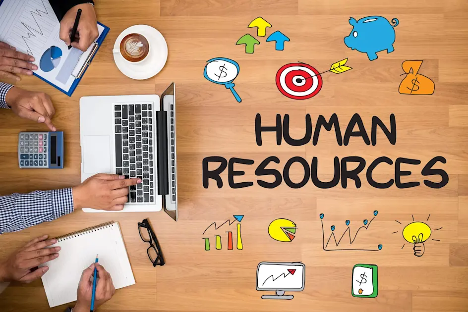What is HR Software and How to choose the one best suited for your company?