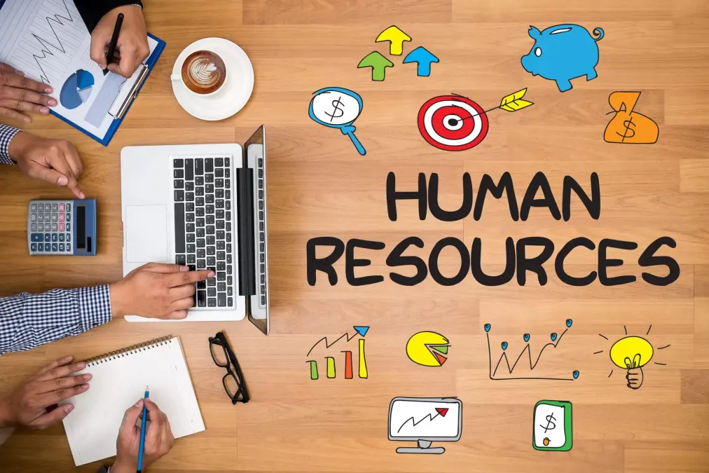 What is HR Software and How to choose the one best suited for your company?