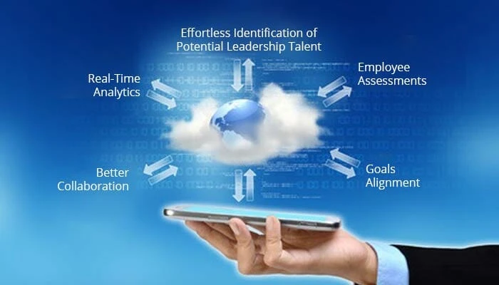 Featured image What to expect from a human resource software?