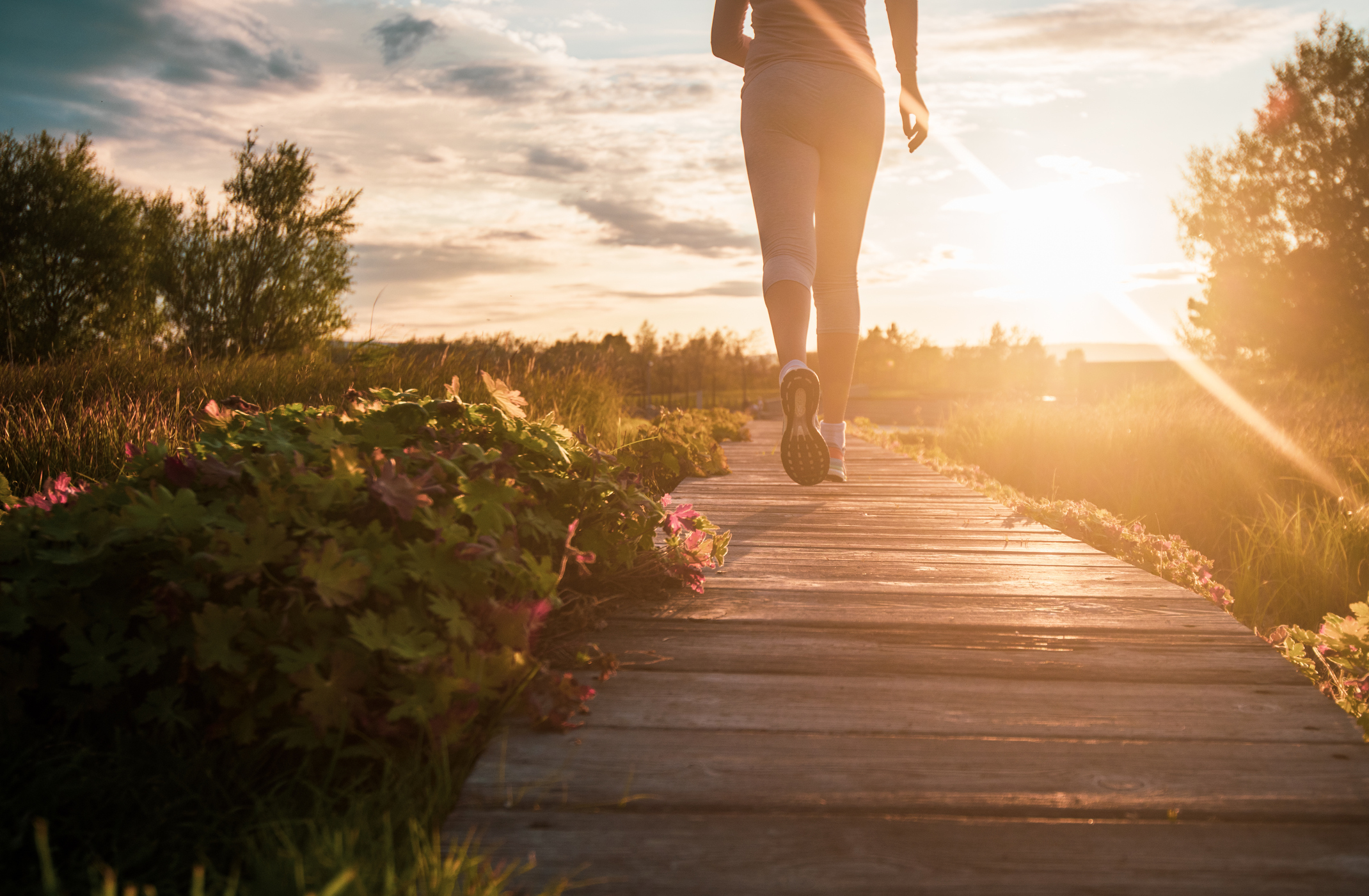 Whole-Person Approach to Eliminate Musculoskeletal Pain