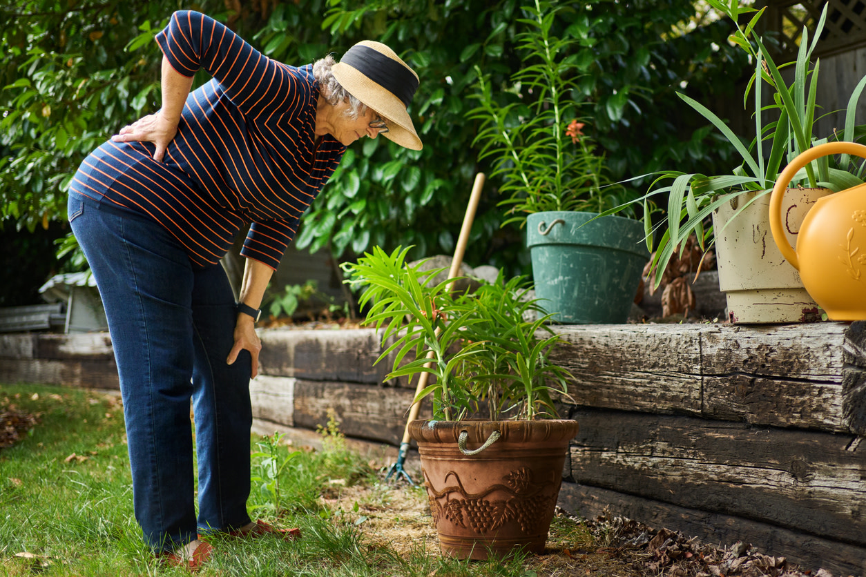 Gardener in striped shirt and straw hat bending over due to vertebrogenic low back pain.