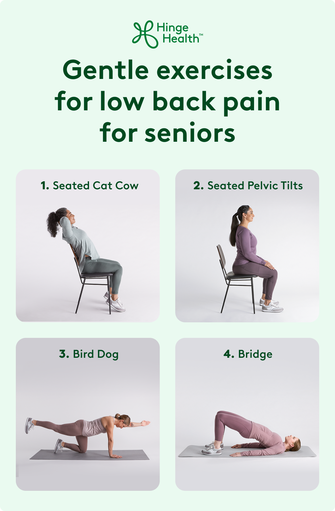 Gentle exercises for low back pain for seniors, seated cat cow, seated pelvic tilts, bird dog, bridge.