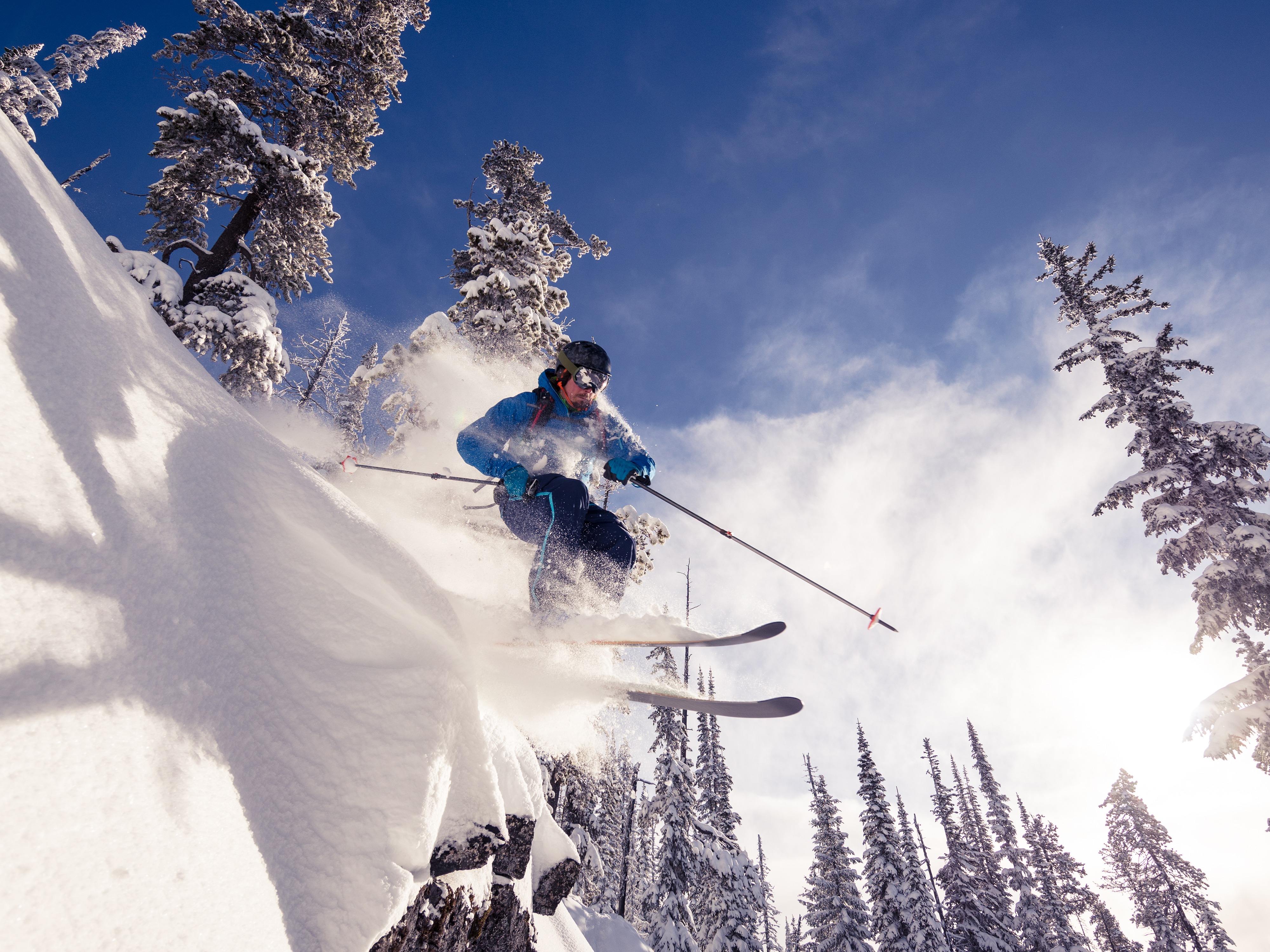 Skier