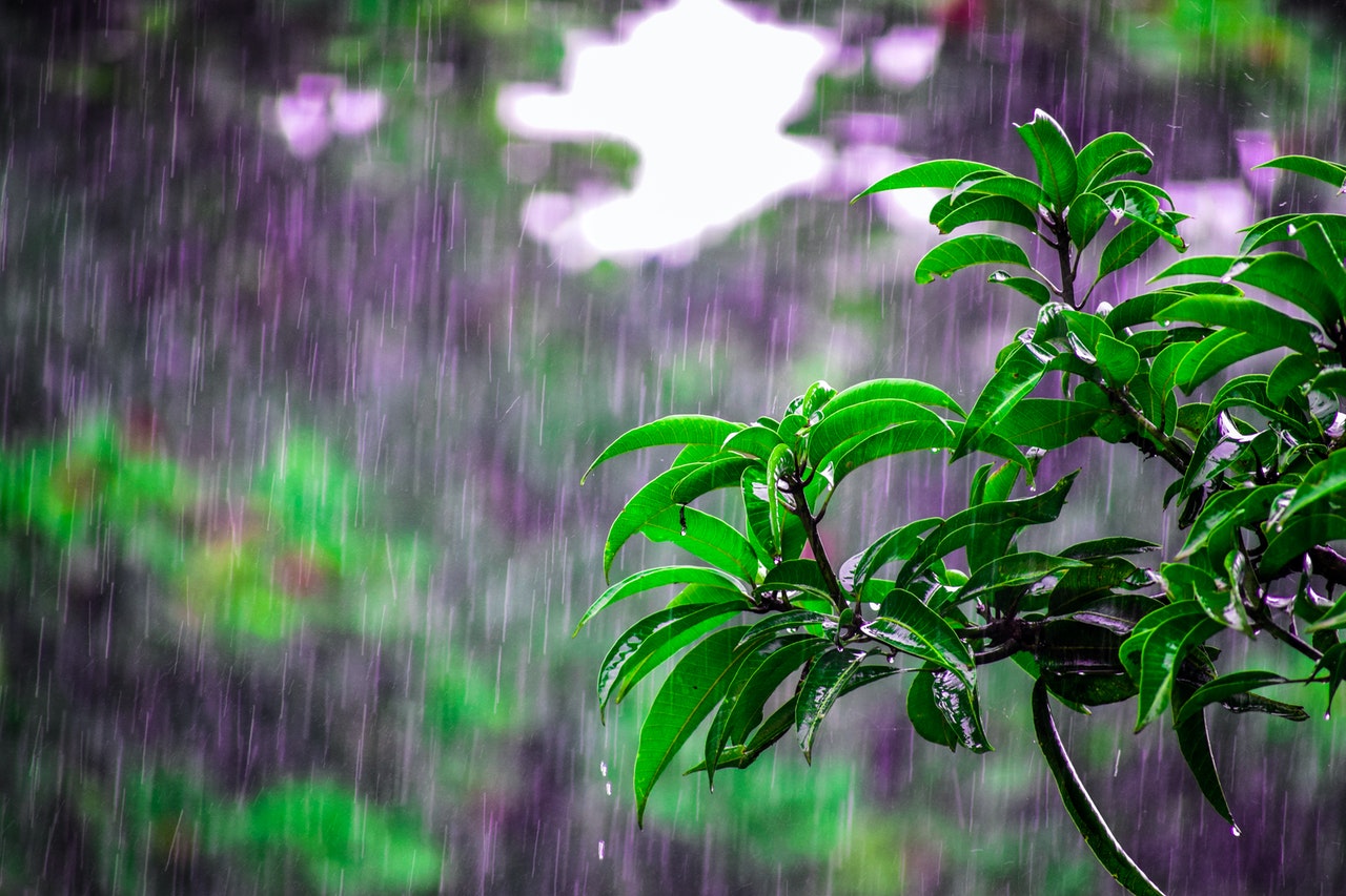 chronic pain and mental health