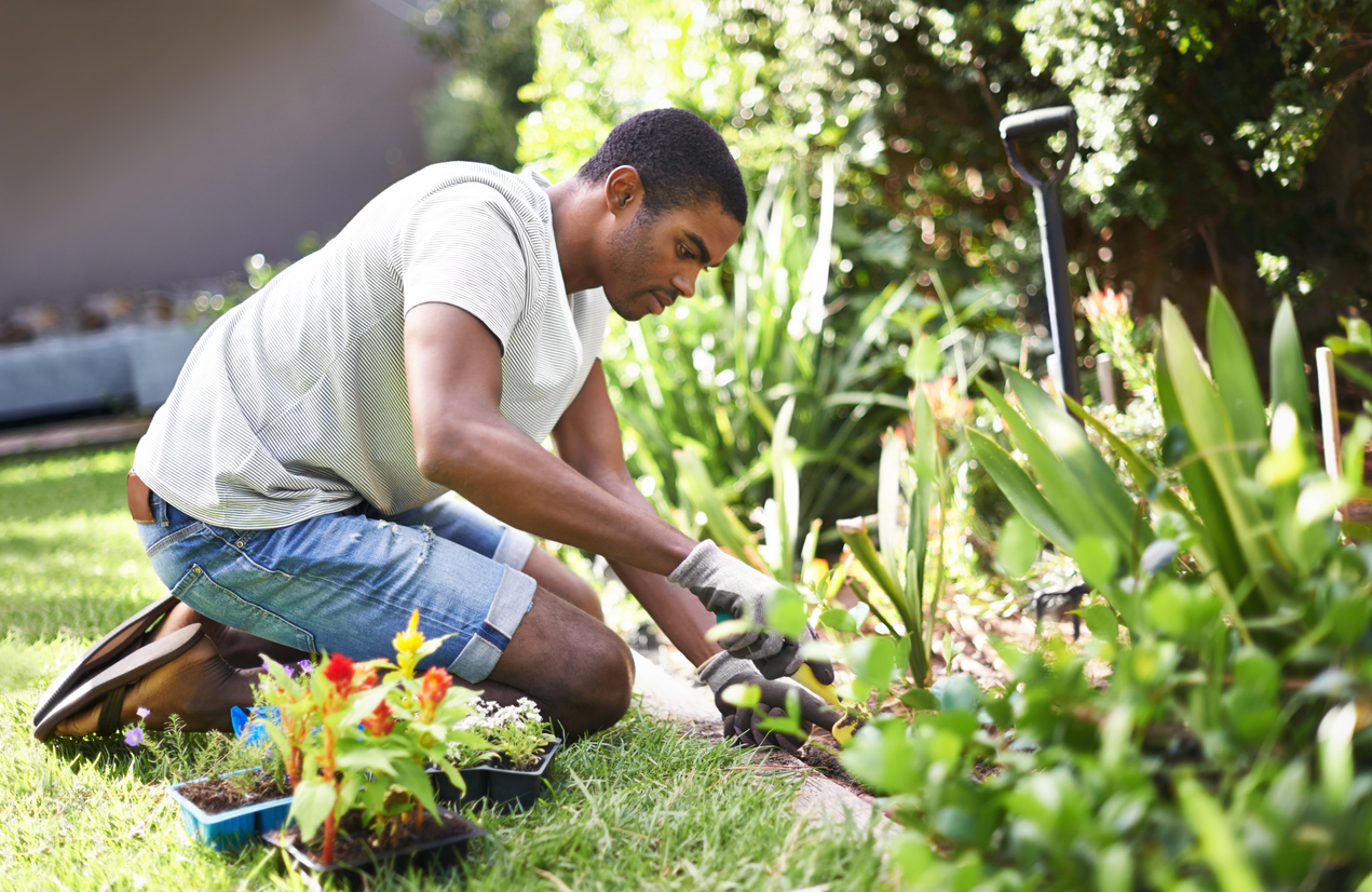 Image of a man wearing a t-shirt and jean shorts, kneeling in a garden area while wearing gardening gloves, digging in the dirt preparing to plant a number of plants and flowers sitting next to him in the grass.