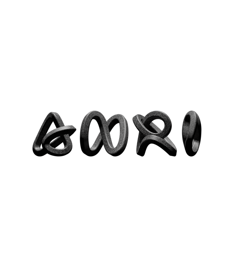 fin_anri