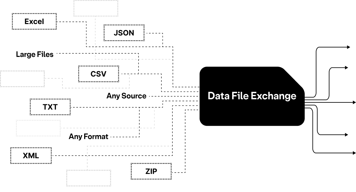 Data File Exchange Visual