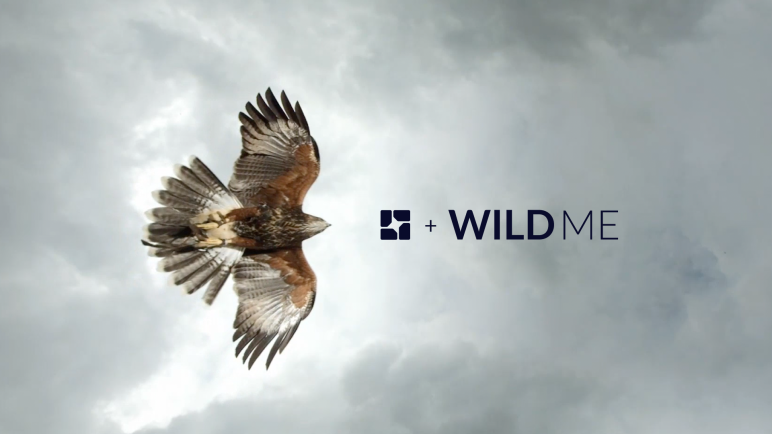 Wild Me selects the Flatfile data importer to help onboard data