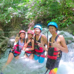 写真・動画撮影