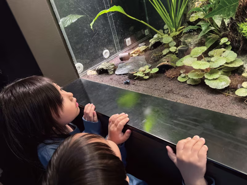 セブ島水族館の容姿2